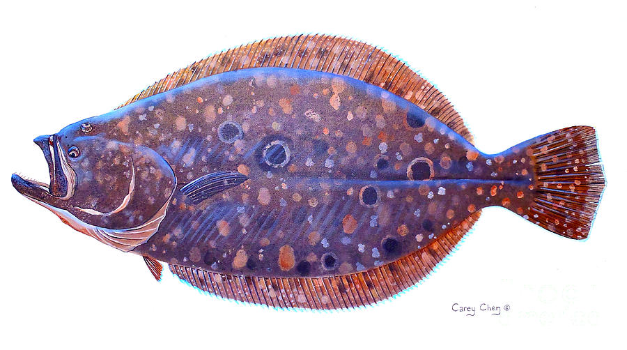 Flounder Painting