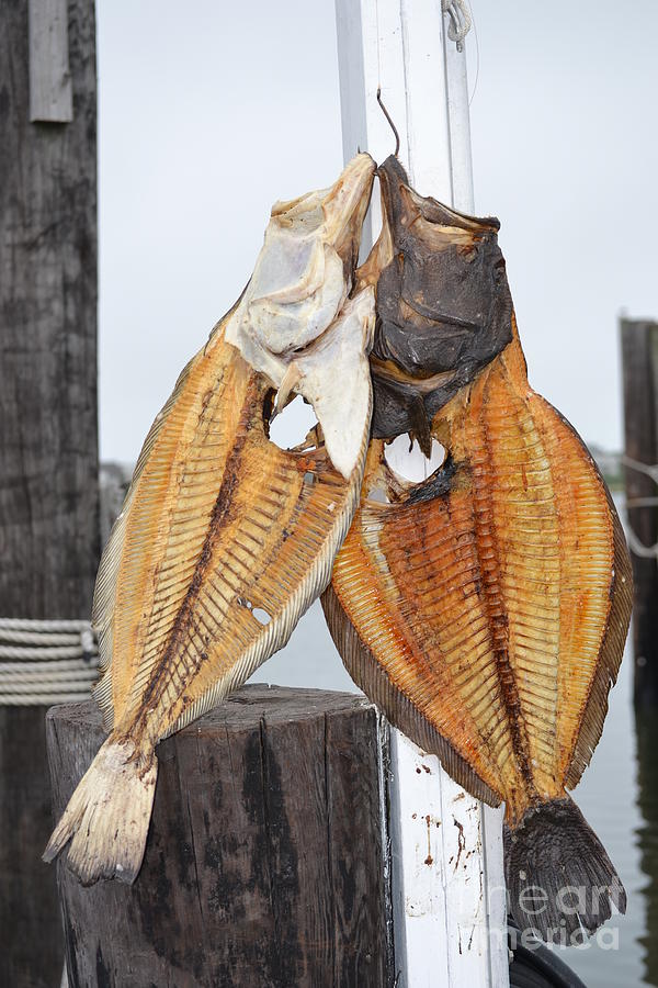 Fishing Painting - Floundering by John Walther Fishing Painting - Floundering by John Walther
