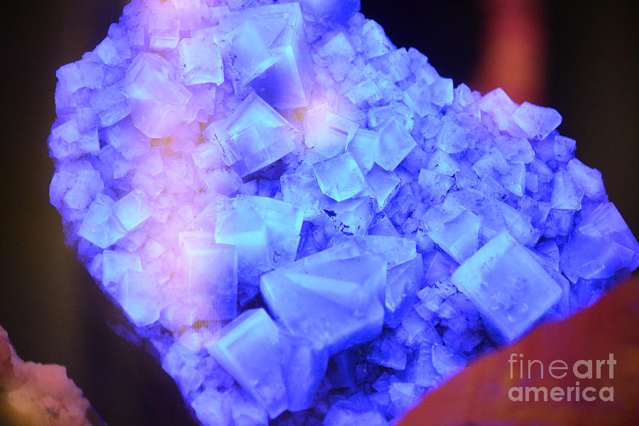 Flourescent Blue Fluorite Crystals Under Black Light Photograph by Shawn OBrien
