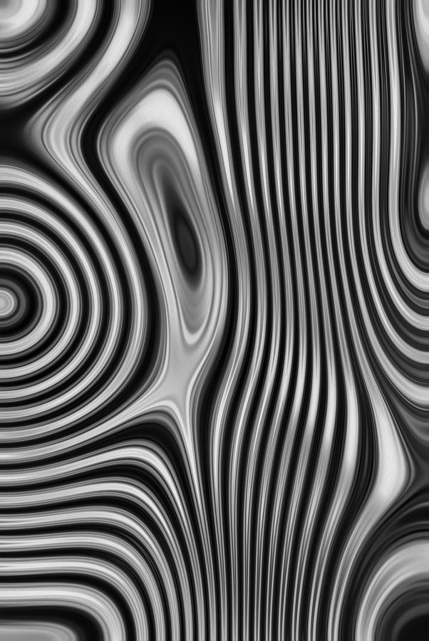 Black And White Painting - Flow 6 by Jack Zulli