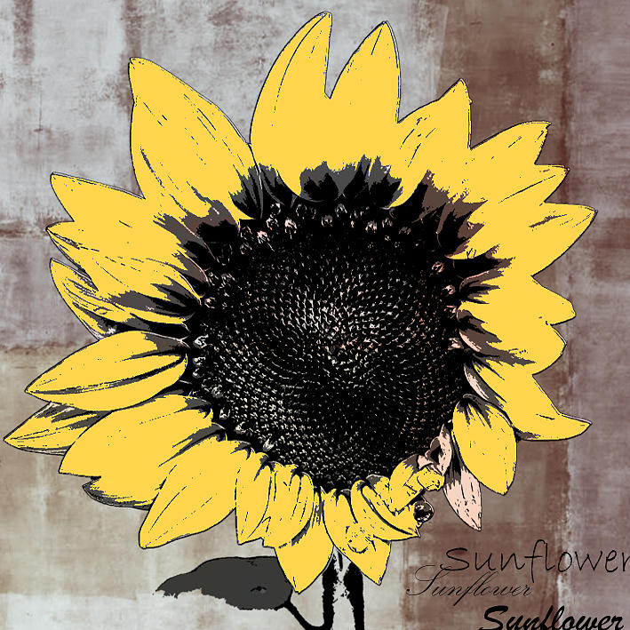 Sunflower Painting - FLOWart4 by Fero Kopacik