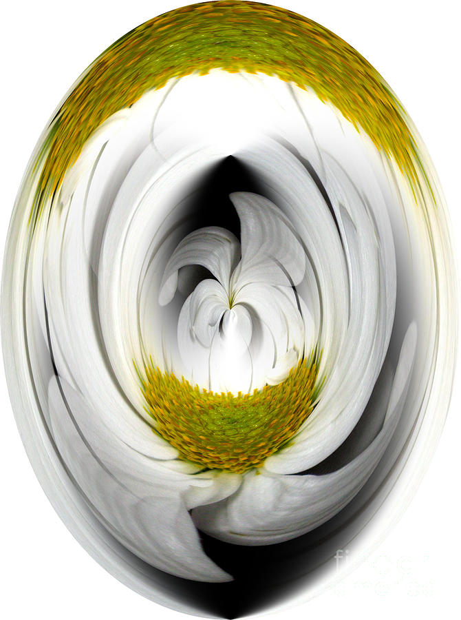 White flower creation Digital Art by Oksana Semenchenko