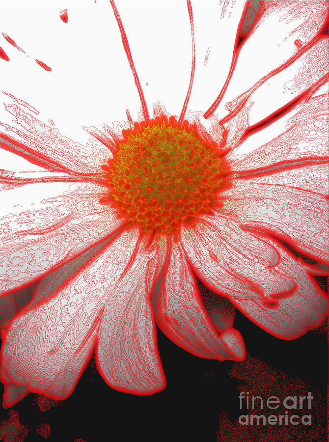 Pretty flower in white and red Digital Art by Oksana Semenchenko