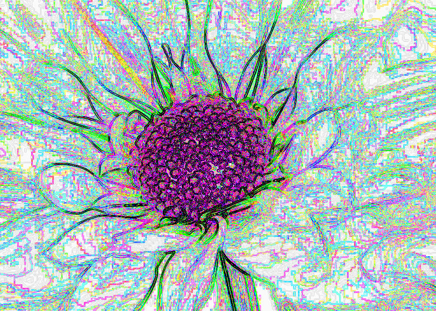 Flower 5a Digital Art by Bruce IORIO