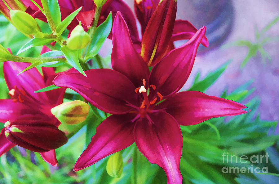 Flower - Amazing Lilies - Luther Fine Art Photograph by Luther Fine Art