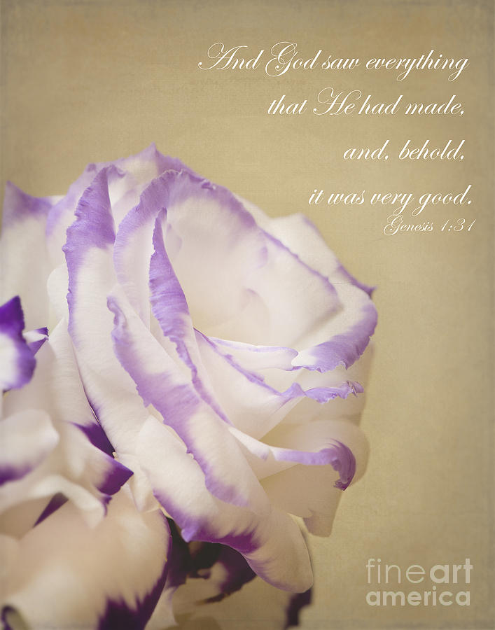 Flower and Bible verse Photograph by Ivy Ho