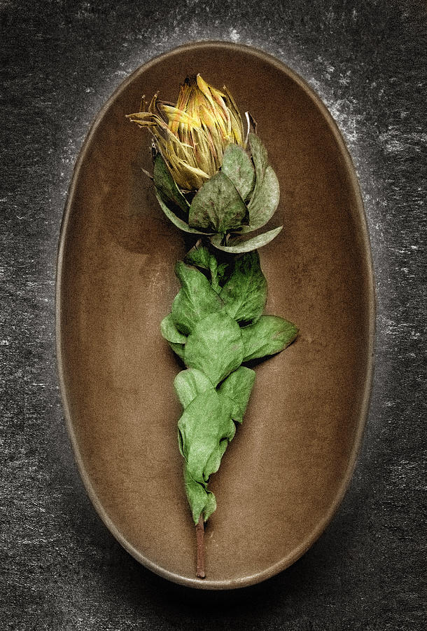 Flower Photograph - Flower And Bowl by Tony Ramos Flower Photograph - Flower And Bowl by Tony Ramos