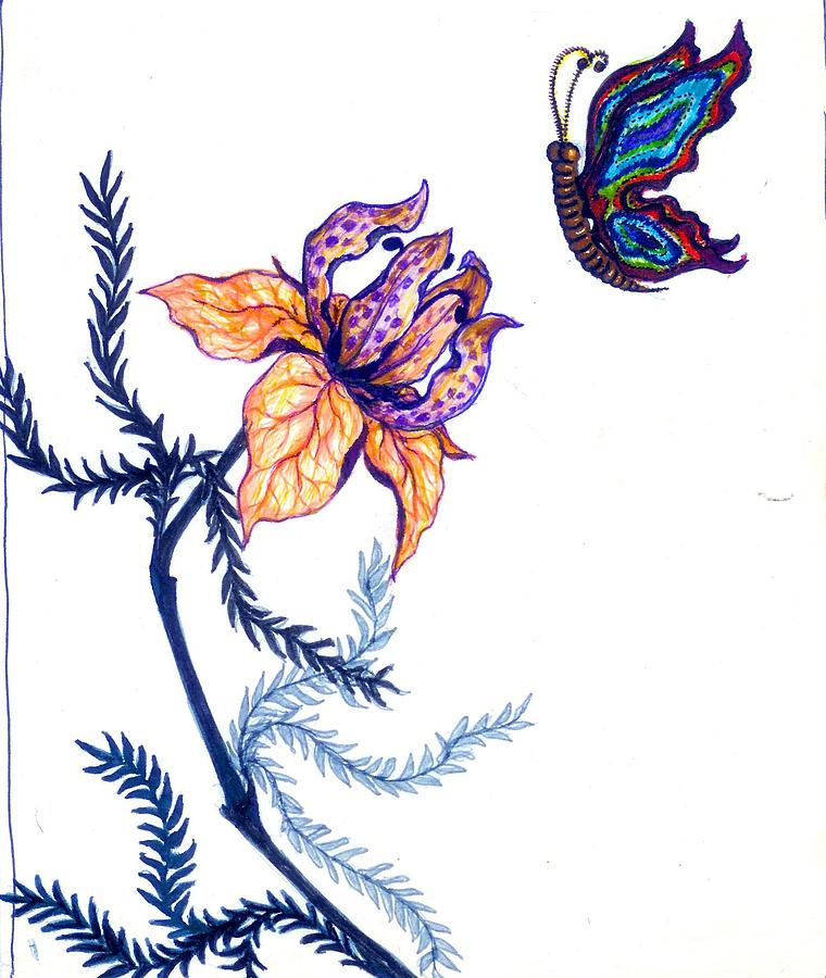 Flower and Butterfly Drawing by Rae Chichilnitsky