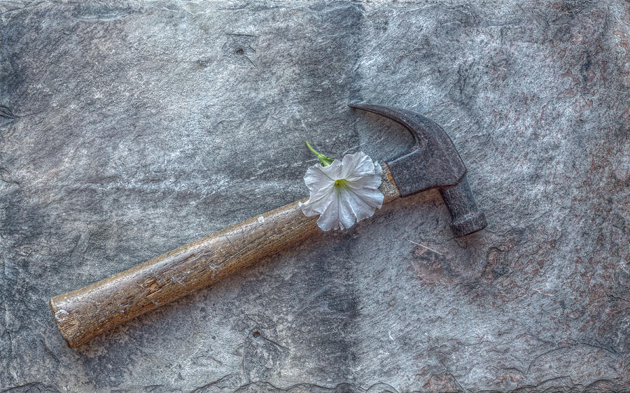 Flower and Hammer Photograph by Randy Steele