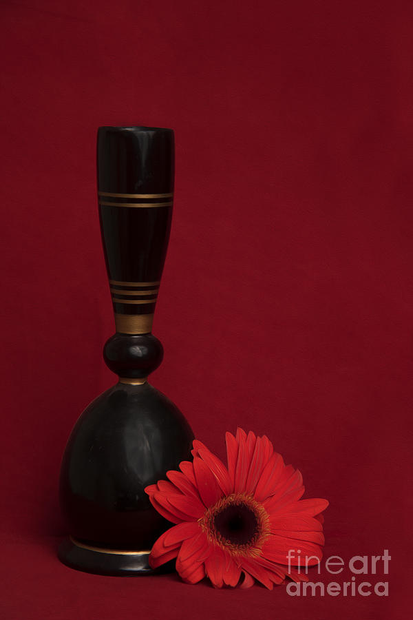 Flower and Pot Photograph by Kiran Joshi