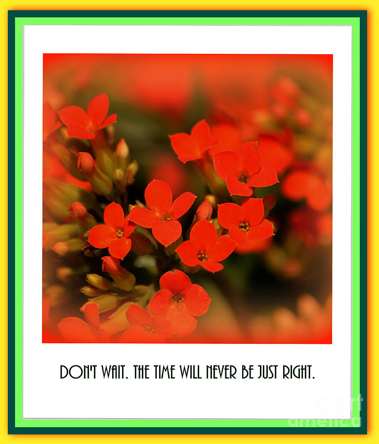 Flower and Time Quote Photograph by Susanne Van Hulst