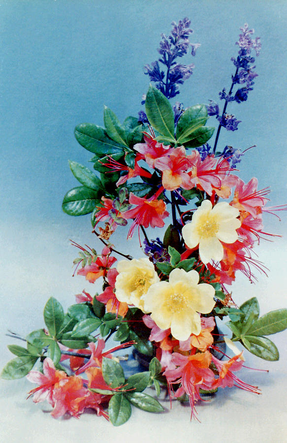 Flower Photograph - Flower Arrangement 1 by Ted Denyer