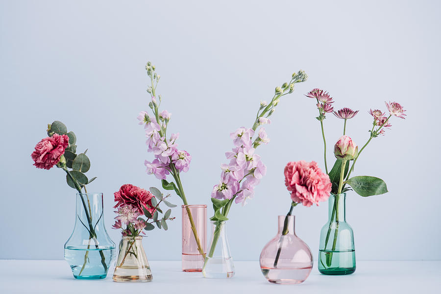 Flower arrangement in pastel Photograph by Knape