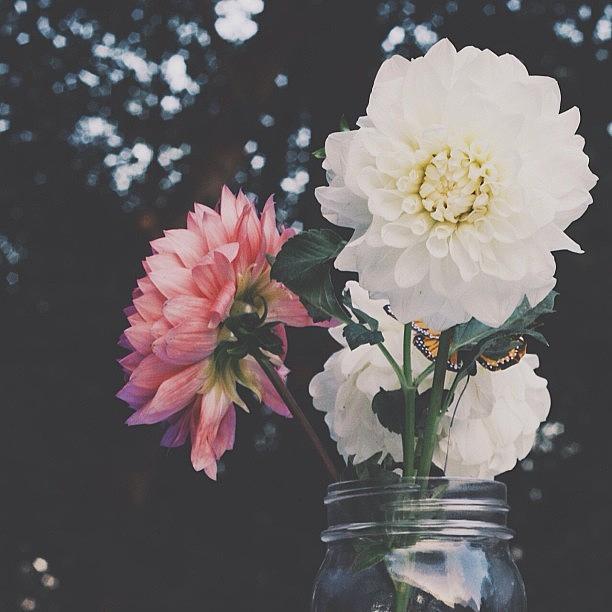 Summer Photograph - Flower Arrangements From My Buddies by Casey  Moretz 