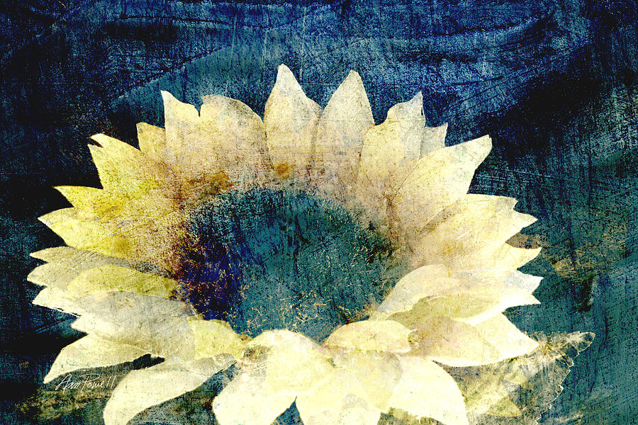 Flower Art Faded Sunflower  Photograph by Ann Powell