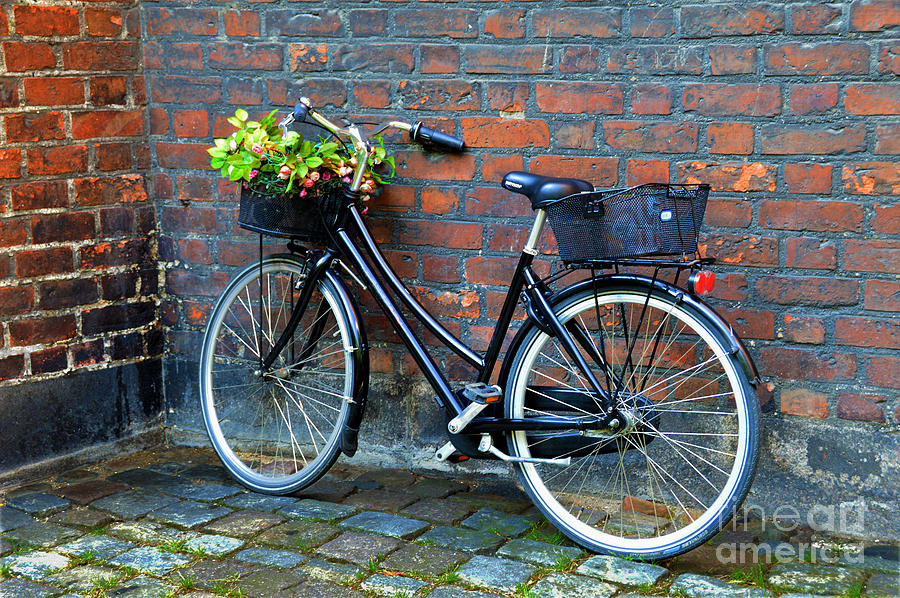 Flower Basket Bicycle Photograph by Catherine Sherman