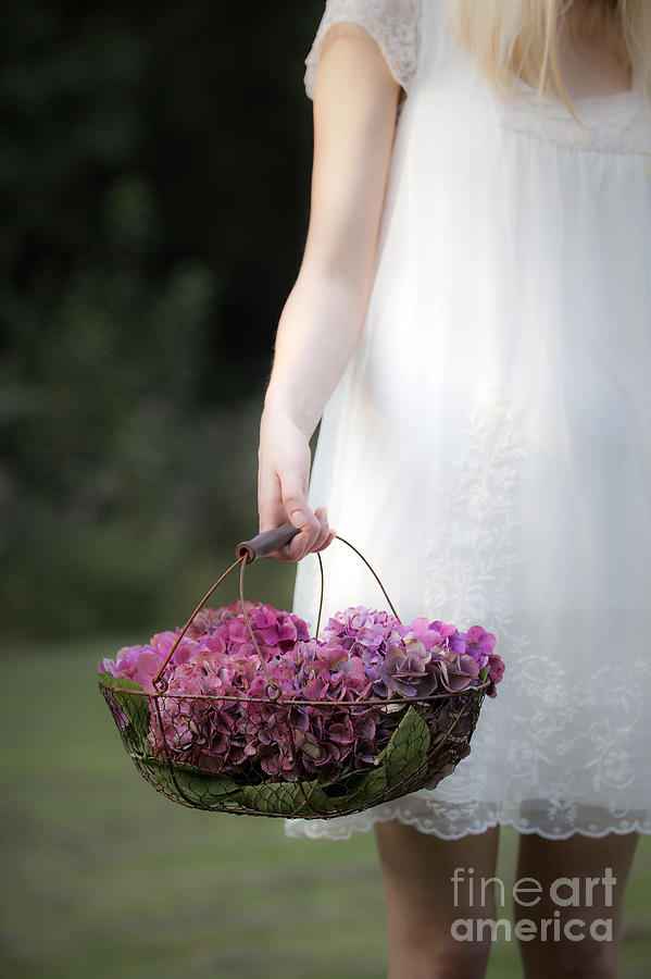Flower basket Photograph by Maria Heyens