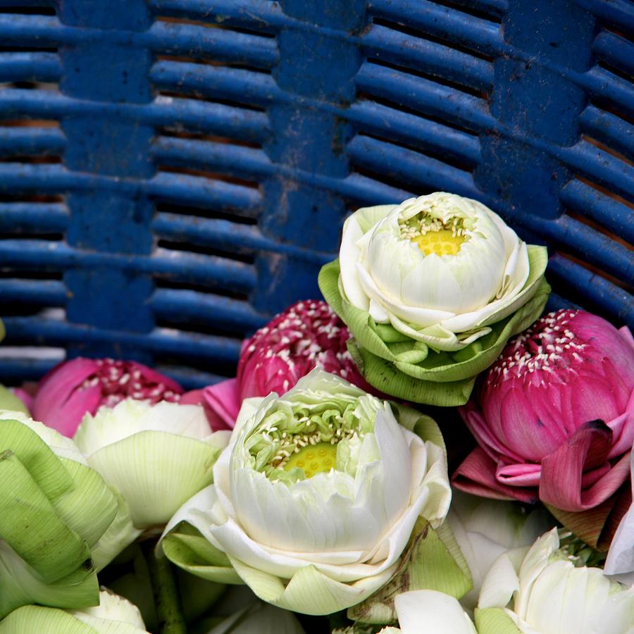Bangkok Photograph - Flower Basket by Marigan OMalley-Posada