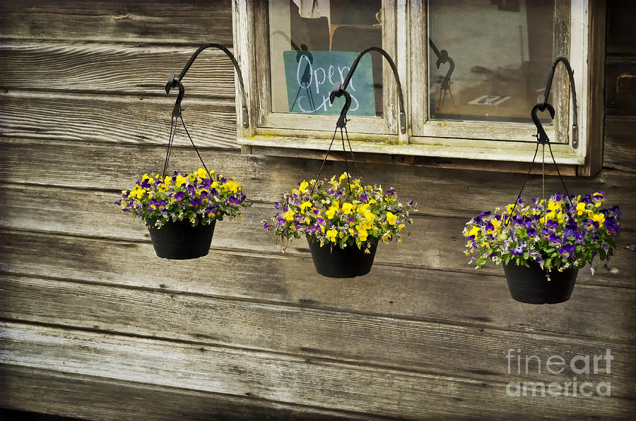Flower Baskets Under a Window Photograph by Maria Janicki
