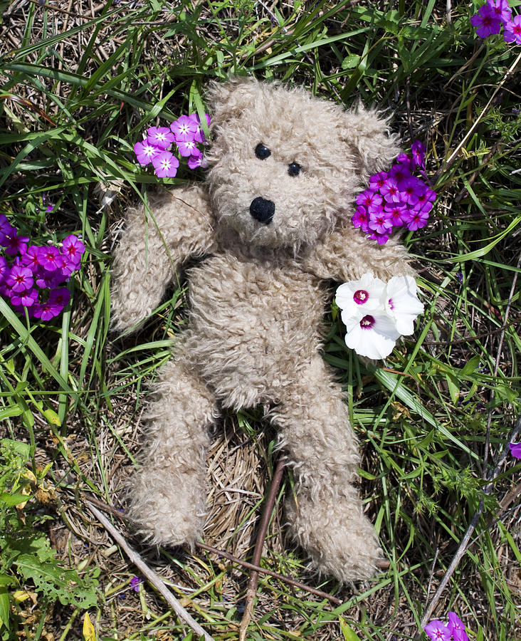 small flower bear