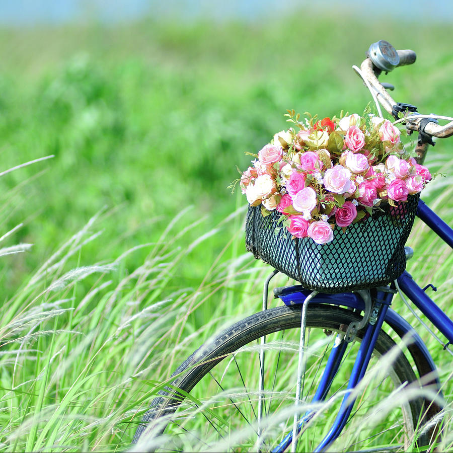 Flower Bike Photograph by Photo By Arztsamui