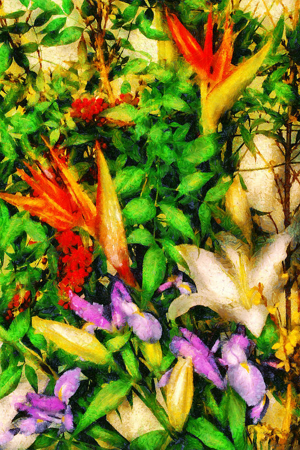 Abstract Photograph - Flower - Bird of Paradise II by Mike Savad