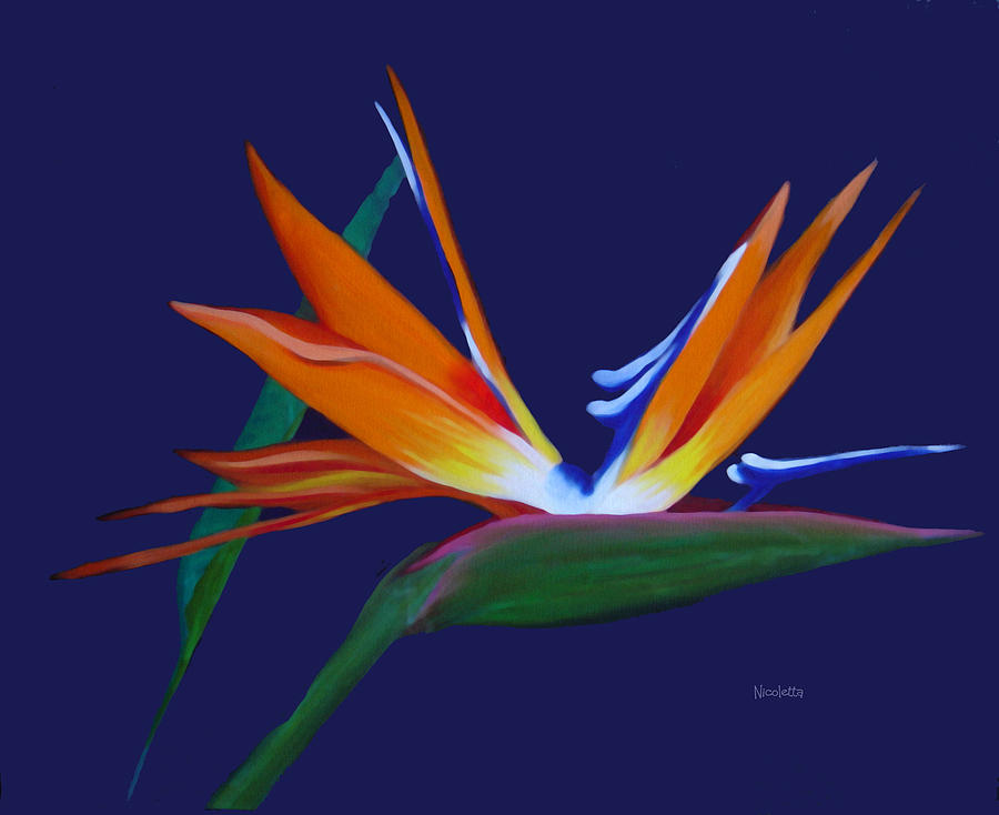 Still Life Painting - Flower bird of paradise  by Nicoletta Filarski