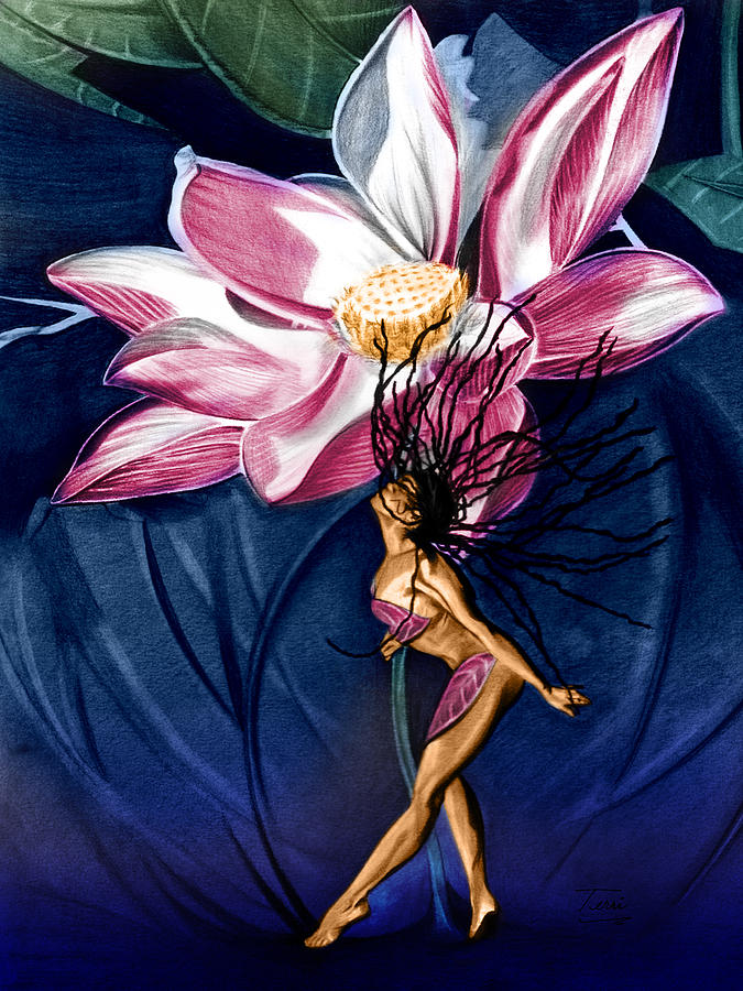 Flower Bomb Drawing by Terri Meredith