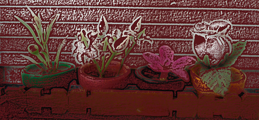 Flower Box Digital Art