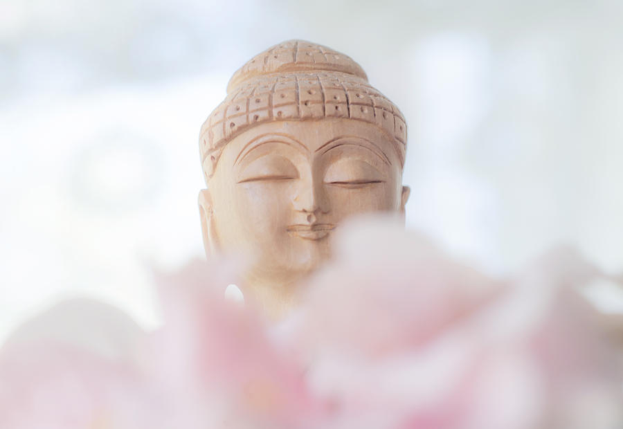 Flower Buddha 1 Photograph by Jenny Rainbow