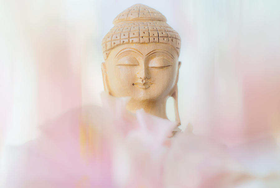 Flower Buddha 2 Photograph by Jenny Rainbow