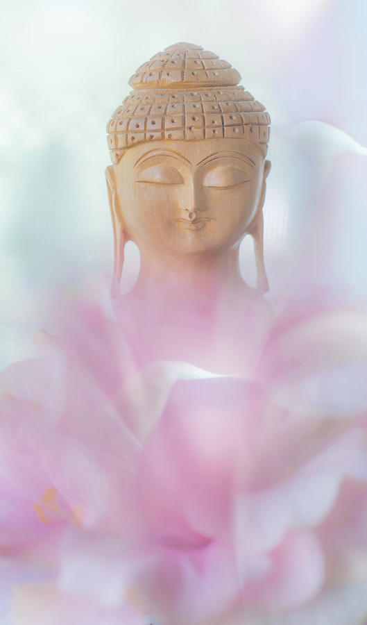 Buddha Photograph - Flower Buddha by Jenny Rainbow