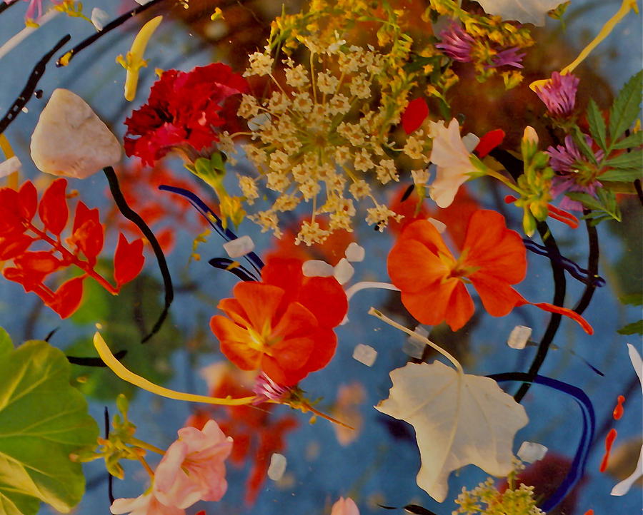 Flowers Still Life Photograph - Flower Burst by David Flitman
