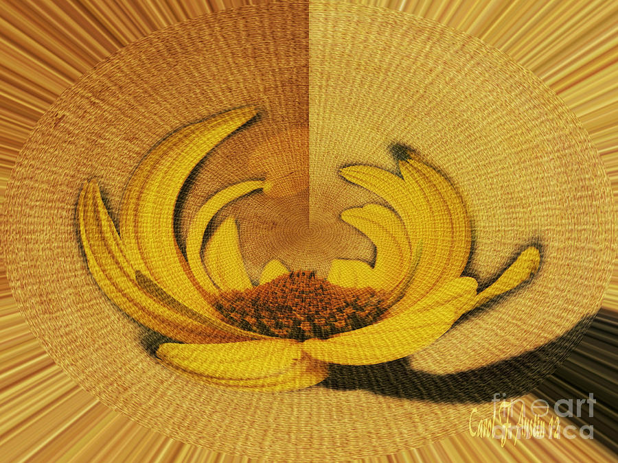 Sunflower Abstract Photograph by Carol F Austin
