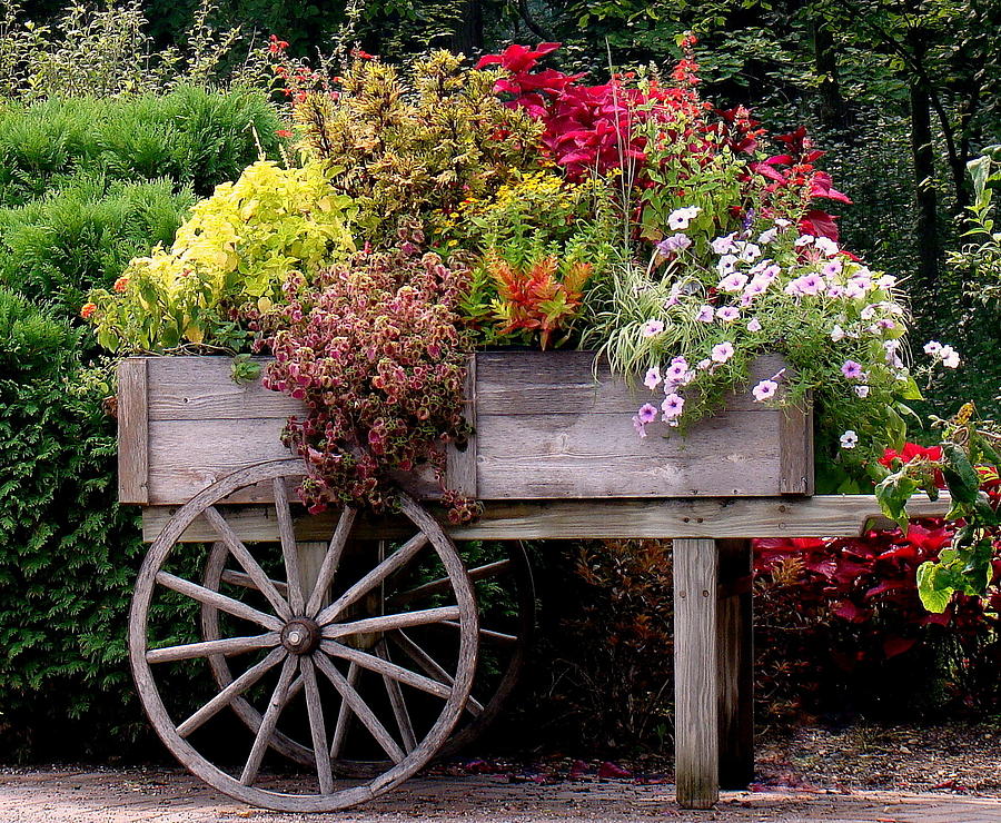 Flower Photograph - Flower Cart in Bloom by Rosanne Jordan