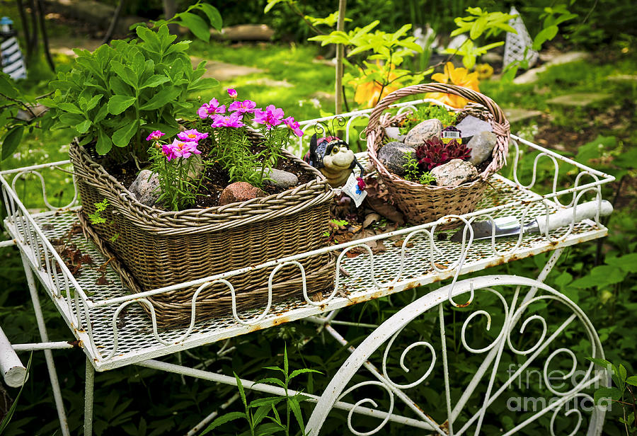 Summer Photograph - Flower cart in garden 2 by Elena Elisseeva