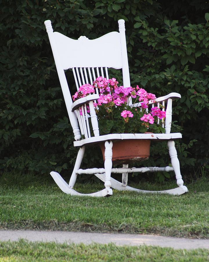 Flower Chair Photograph