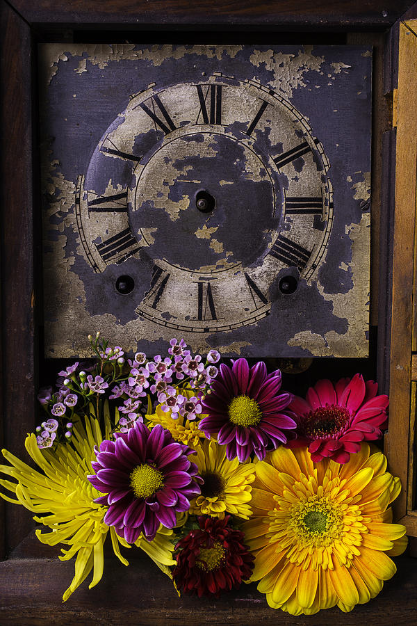 Flower Clock Photograph by Garry Gay