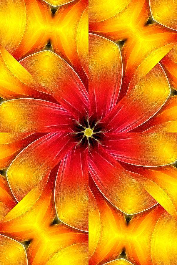 Flower Close-Up--Fractalius Kaleidoscope Photograph by Don Johnson