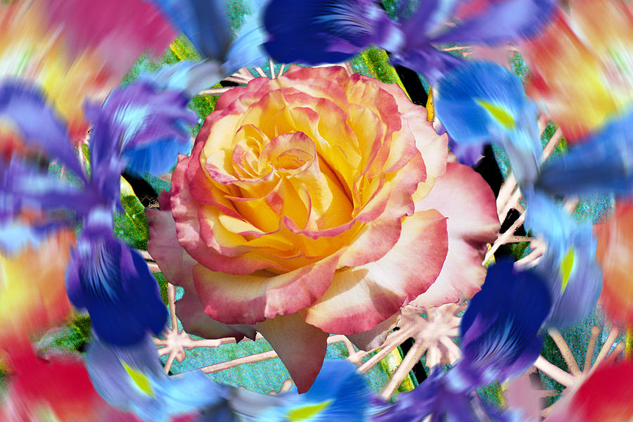 Flower Dance Digital Art by Lisa Yount