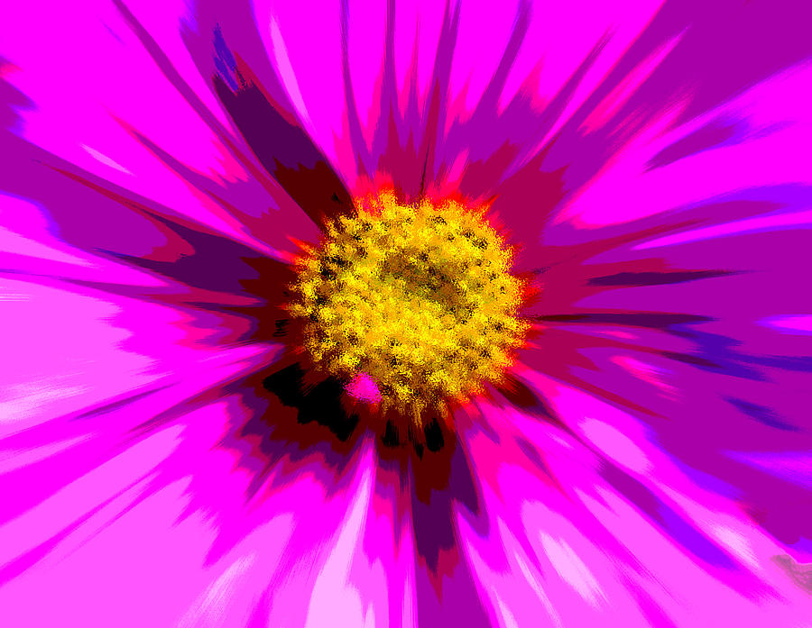 Flowers Still Life Photograph - Flower Explosion Colour by David French