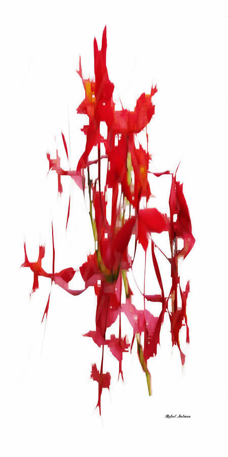 Flower Fantasy 3 Digital Art by Rafael Salazar