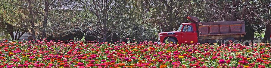 Flower Farm Truck Photograph by Betty Morgan