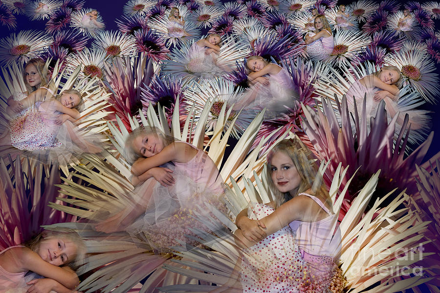 Candy Digital Art - Flower field by Angelika Drake
