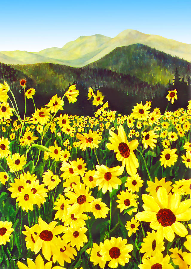 Flower Field Painting by Douglas Castleman