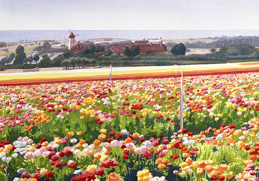 Flower Painting - Flower Fields in Carlsbad 1992 by Mary Helmreich