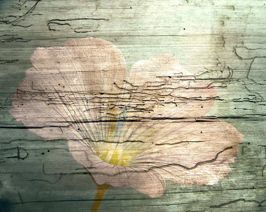 Textured Wood Photograph - Flower figment by Randall Branham