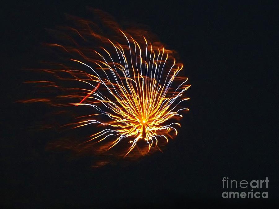 Flower fireworks Photograph by Brigitte Emme