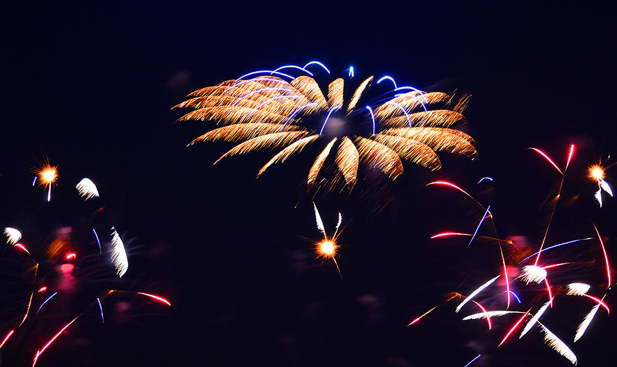 Flower Fireworks Photograph by Sandi OReilly