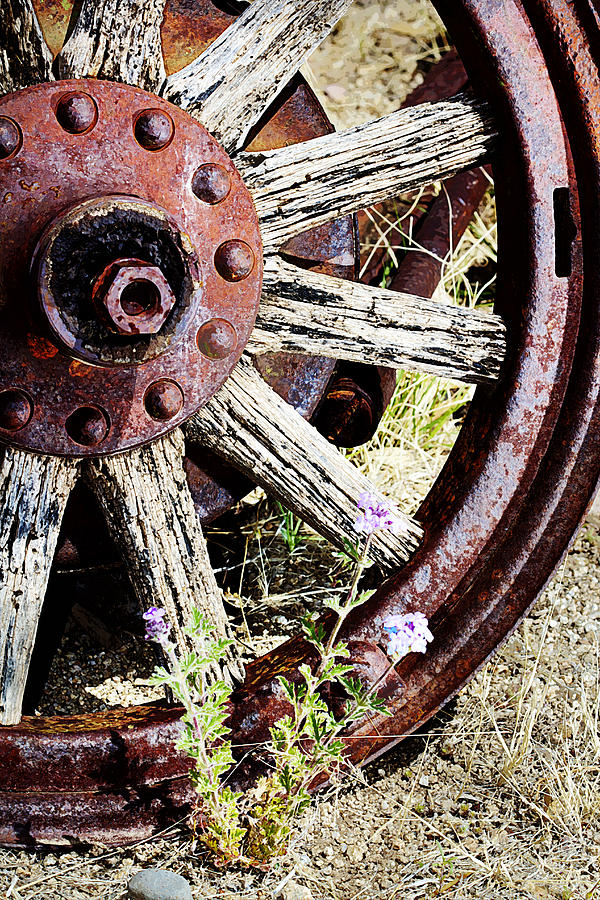 Flower Flanked Wagon Wheel Painterly Photograph by Phyllis Denton